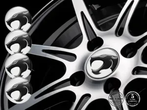 Decal Ruota Stile Flusso Momentum Galactic Pro Racing
